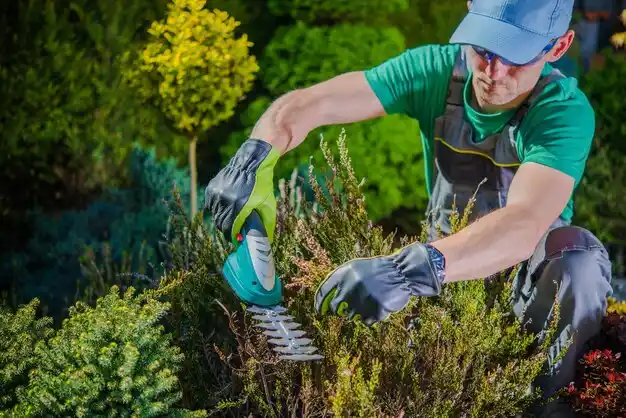 landscaping services West Hills